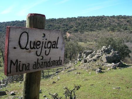 Vista en miniatura