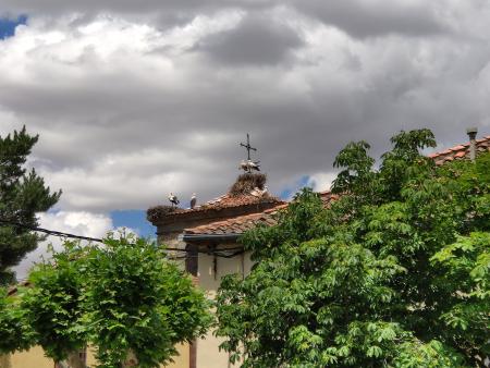 Vista en miniatura